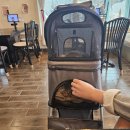 비발디의아침 이미지