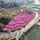 광활동산공원 티스토리