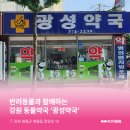 광성약국 이미지