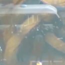 관저주유소 이미지