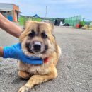 대흥신덕길 이미지