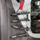 미광 카센타 이미지