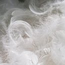 파워세탁 이미지