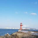 대풍바지락칼국수