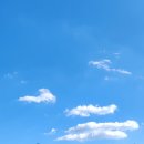 팀레이피트니스 진평1호점 이미지