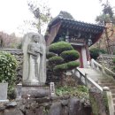 양동초교 이미지