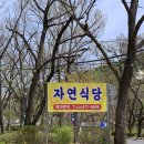 공원집식당 | 안양 예술공원 백숙 맛집 자연식당｜3년째 또간집 내돈내산 후기