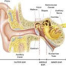 진해독일보청기 이미지