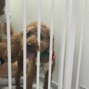 달곰달곰 이미지