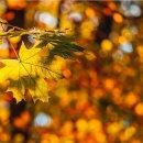 새롬콘택트 이미지