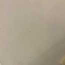 개미정비 | [로마 호텔] 호텔 퀴리날레 (Hotel Quirinale Hotel) | 숙박 후기 (개인적으로 비추)