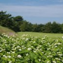 항몽유적지 이미지