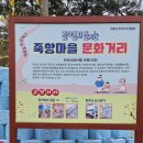 죽항마을회관 | 진주 사봉면 죽항마을 문화거리 벽화