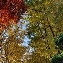 인종목장 이미지