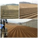 월암농장 이미지