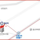 써니미르