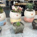 홍주고을밀면 이미지