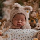 차오름로 이미지