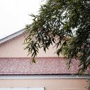 빌라드로이 이미지