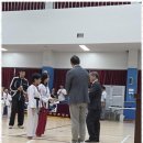 강철태권도 이미지