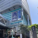 ♡ W-25. 웨딩홀 하객 후기 : 구로 명품웨딩 프로포즈 웨딩홀 : 더드림홀 어두운 단독홀