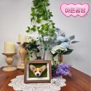 반려견양모펠트 의정부공방 아른공방