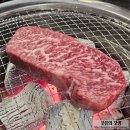 최가네식당 | 고성동맛집 투뿔 한우가 있는 최가네아현식육식당