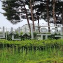 신길선사유적지 이미지