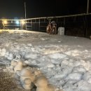 지아스파펜션 이미지