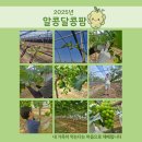 2025년 9월 알콩달콩팜♥