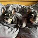 이박사동물병원 이미지