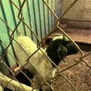 삼화농장 이미지