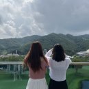 🐰너무 알찼던 한주(7.10~7.17)