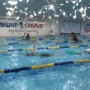 스윔슐레(세종캠퍼스) 이미지