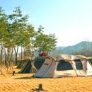 청송사과테마파크 BBS