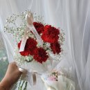 수목화