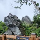 진카정비 | [강원도 여행] 발왕산 여행 후기 🌲 케이블카 타고 즐기는 하늘 위 힐링 여행