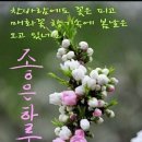 즐거운인생 이미지