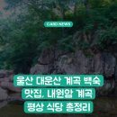 대운산장 | 울산 대운산 계곡 백숙 맛집, 내원암 계곡 평상 식당 총정리