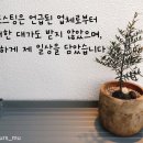 마레벤또 이미지