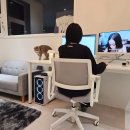 컴퓨터 기본 | 장시간 앉아도 편안한 노바디체어, 진짜 제대로 된 컴퓨터의자