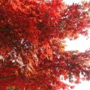 아름축산 이미지