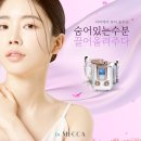 뷰티 엘 이미지