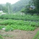 화랑골민박 이미지