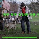임실군북구권노인복지관 | 대구 북구 요양원 이용 안내 파티마홈 가격과 서비스 상세 정보 확인하세요