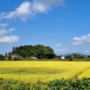 오두리 경로당 이미지