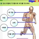 만성 위염으로 고생하는데 기가봉으로 어디를 두드려야 이미지