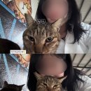 쏘다님투어 | [대만여행] 12월 우기 훈련.zip_최종