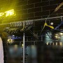 블루힐65 | 서초역 카페 추천 [앨리커피앤와인]