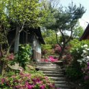 고은펜션 이미지